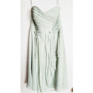 David's Bridal Brides maid dress
